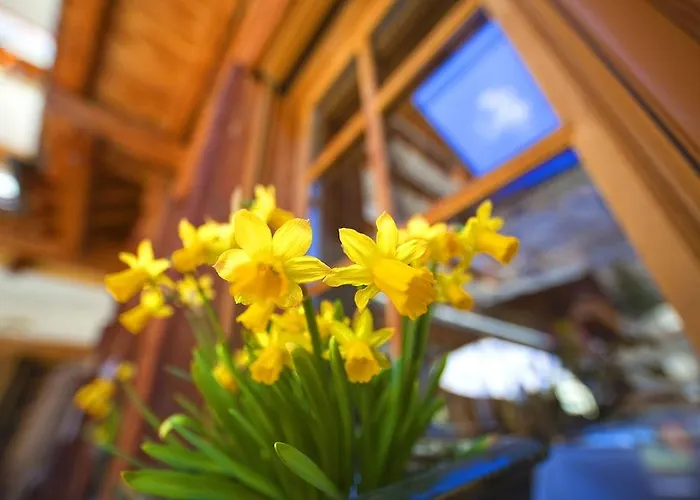 Hotel Sunstar Zermatt