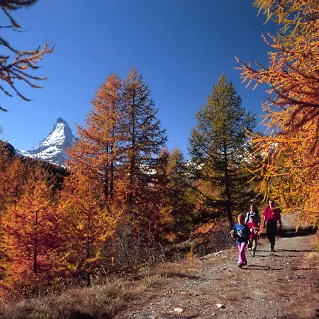 Sunstar 4* Zermatt